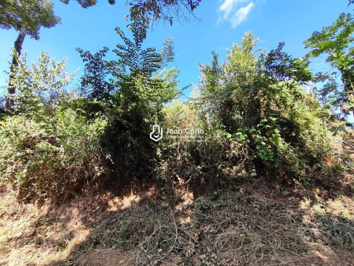 Terreno para Venda em Jaguariúna / SP no bairro Chácaras Santo Antonio do Jardim II